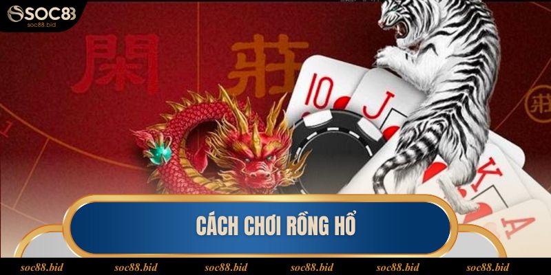 Cách Chơi Rồng Hổ - Hướng Dẫn Tham Gia Hiệu Quả Tại SOC88 Cách Chơi Rồng Hổ