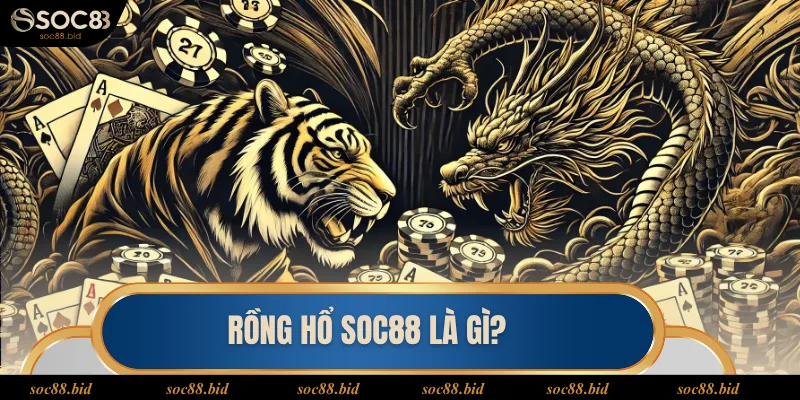 Rồng Hổ soc88 là gì?